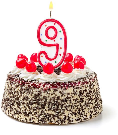 9th Birthday Cake