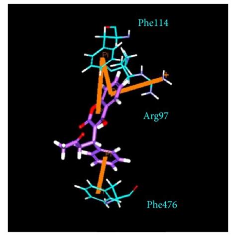 The H Bonding Between Protein And Ligand Interaction In Docking Poses