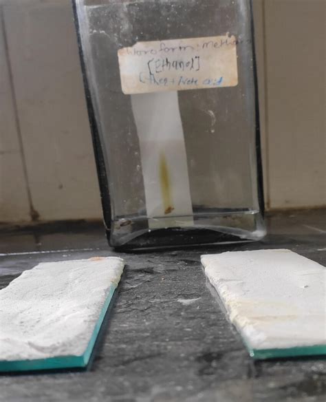 Extracellular components obtained from purified fungi were ...