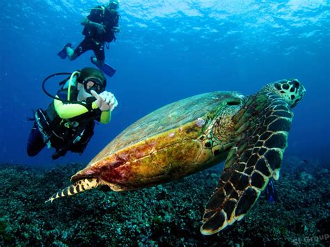 10 популярных экскурсий на Пхукете - Тайланд