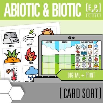 Abiotic And Biotic Factors Card Sort Activity Digital Print Science