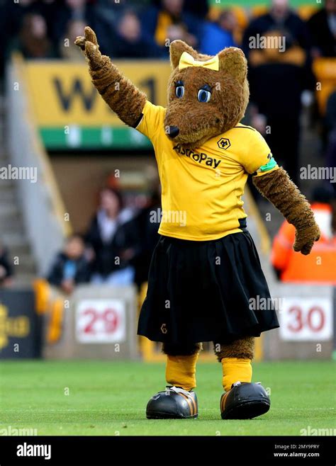 Wolverhampton Wanderers Mascot Wendy On The Pitch Ahead Of The Premier