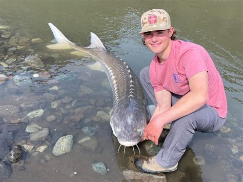 Hell Bound Sport Fishing Steelhead Sturgeon And Bass Fishing In