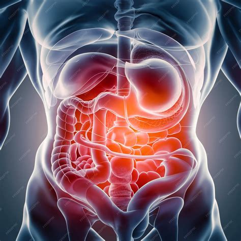 Diarrhea symptoms and pictures of diarrhea with informative images