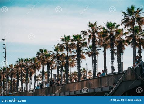 Barcelona Spain May 29 2022 Promenade Along The Beach Of The