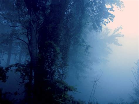 The Burning of the Great Dismal Swamp | Sara Edwards | Flickr