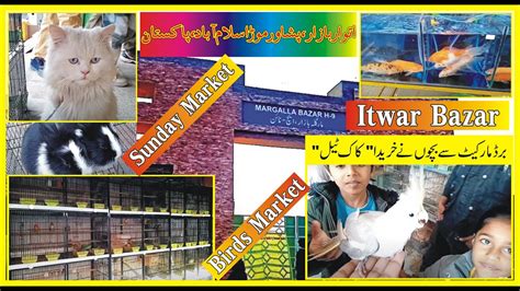 Sunday Market Islamabad Itwar Bazar Margalla Bazar H 9