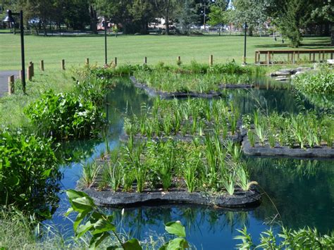 City Officials Mark Opening Of Longs Park Wetlands Installation One