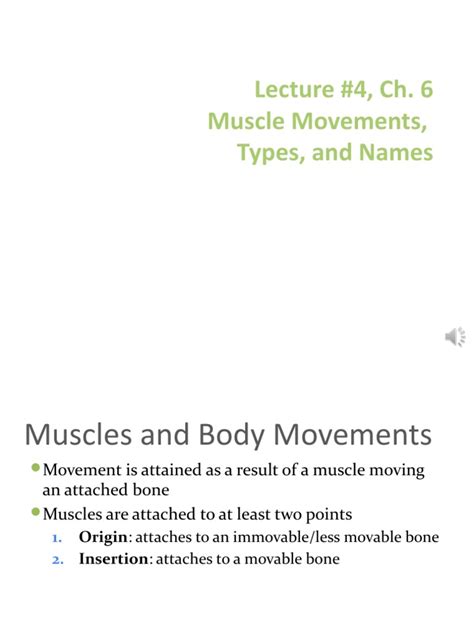 Lecture 4 Ch 6 Movements Muscle Types Muscle Names Pdf