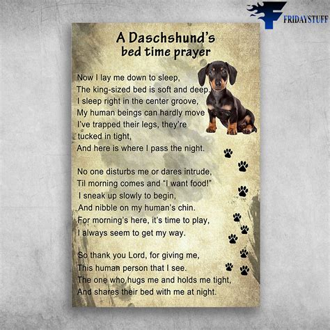A Dachshund's Bed Time Prayer - Now I Lay Me Down To Sleep Canvas