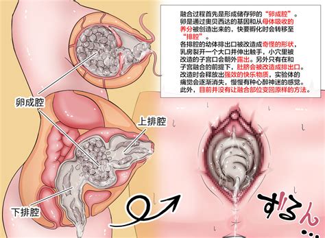 蟲研究レポートEX No 03 Chinese Translation Page 5 nhentai hentai doujinshi and manga