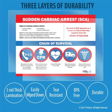 Sudden Cardiac Arrest Poster Laminated 17 X 22 In Sca Chain Of