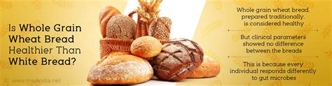 Which Bread Is Healthier White Or Whole Grain Wheat Bread