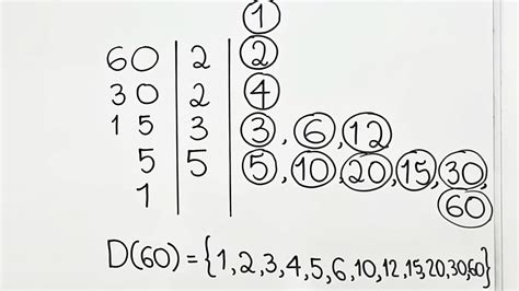 Considerando Todos Os Divisores Positivos Do Numeral 60