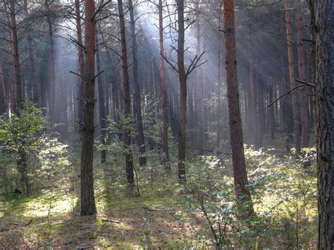 elevation  geilenkirchen germany topographic map altitude map