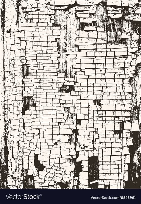 Grunge texture material old painted wall Vector Image