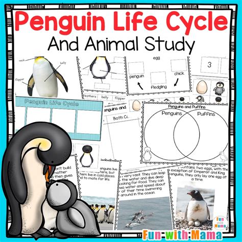 Penguin Life Cycle - Fun with Mama