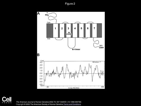 The Gene Mutated in Variant Late-Infantile Neuronal Ceroid ...