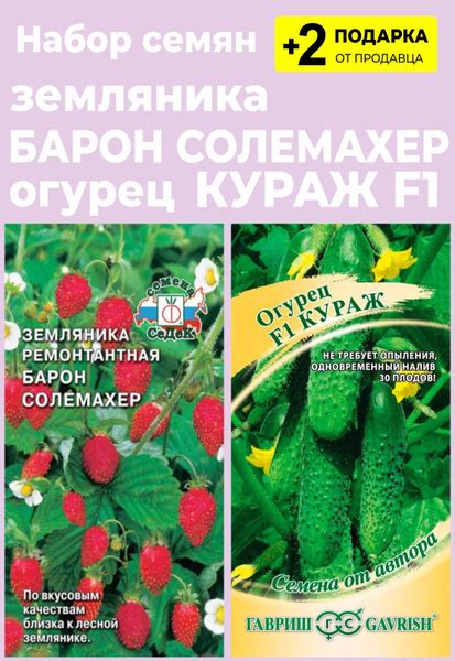 Земляника и клубника For Home And Family Земляника Барон Солемахер ...