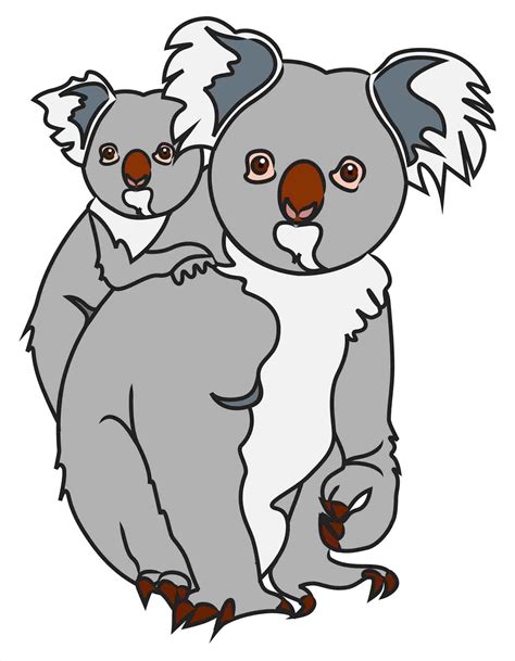 how to draw a cute koala bear