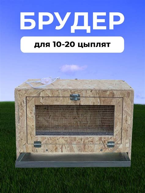 Брудер для цыплят Норма - купить с доставкой по выгодным ценам в ...