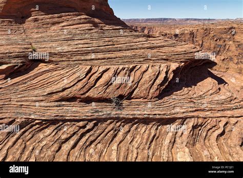 Cross Bedding Navajo Sandstone At Horseshoe Bend Glen Canyon National