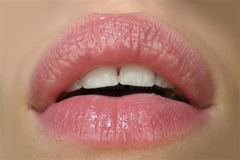 Boca Sensual De Las Mujeres Labios Atractivos Cierre De Boca De Mujer