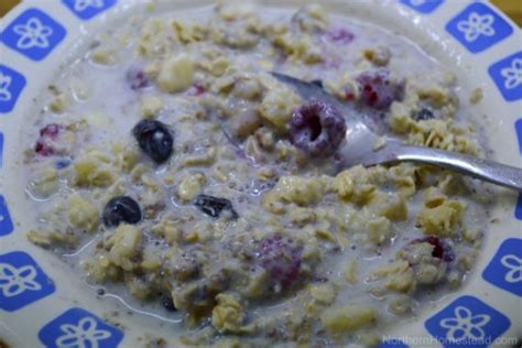 Oatmeal Porridge Recipe Northern Homestead