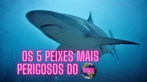 Os Peixes Mais Perigosos Do Mundo Youtube