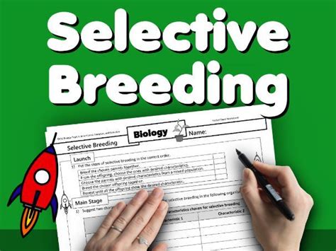 Selective Breeding Worksheet