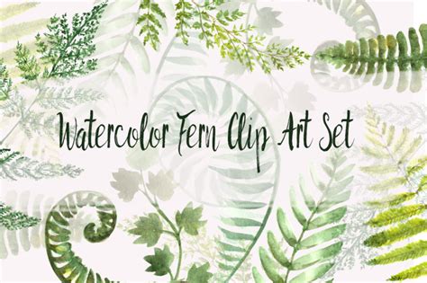 Watercolor Fern Clip Art Set By TatiBordiu Watercolor | TheHungryJPEG