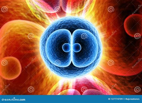 3d Rendered Zygote Cell Division Isolated On Color Background Royalty