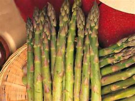 asparagus image