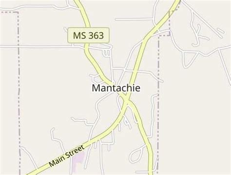 Banks in Mantachie, MS