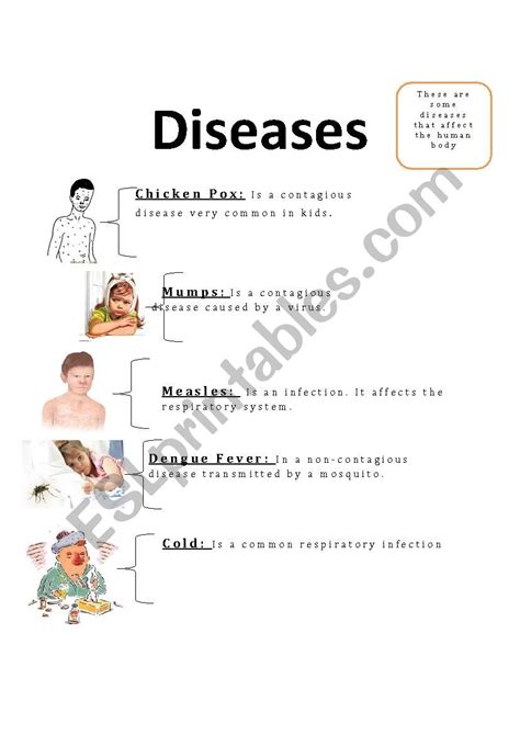 Common Infectious Diseases Worksheet