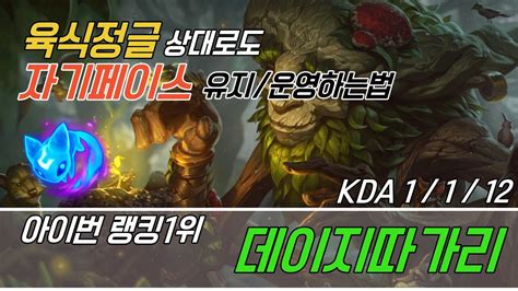 장인관전 월 주차 아이번 랭킹 위 데이지따가리 육식정글 상대로도 자기페이스대로 운영하는법 KOR Amateur champion master YouTube