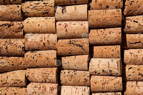 Wine Cork Texture Stock Photo Image Of Wood Still Plug 24786872