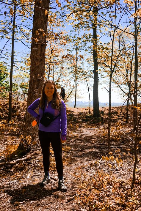 Bird watching in northern new jersey – Artofit