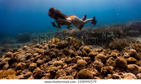 Sexy Girl Wearing Bikini Freediving Down Stock Photo