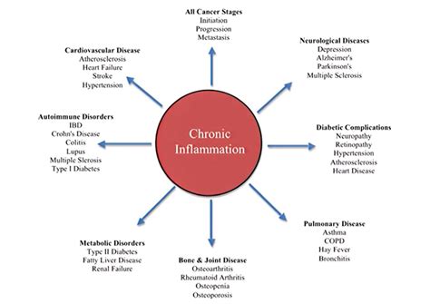 Qué es la inflamación crónica y por qué nos está matando