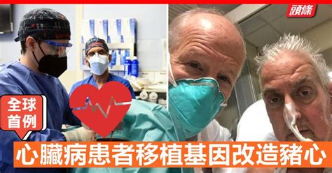 美國心臟病患者移植基因改造豬心 成全球首例 香港及世界新聞討論 香港討論區 Hk 香討．香港 No 1