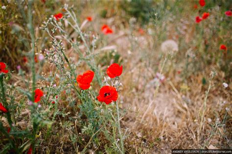 Крым. Балаклава. - блоги - Смородина