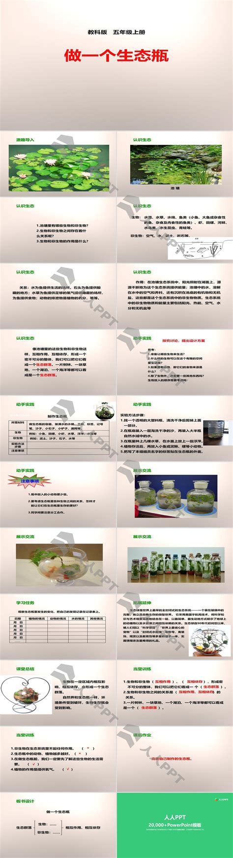 《做一个生态瓶》生物与环境ppt Ppt课件下载 人人ppt