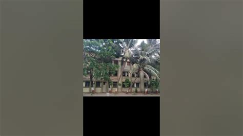 Sudhagad education society school and college Kalamboli - YouTube