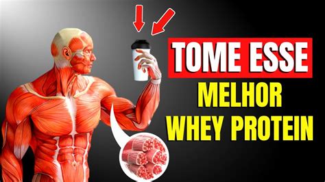 Alimenta O Sa De Fitness Qual O Melhor Whey Protein Para Construir