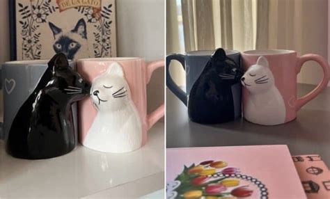 Cat Ts For Cat Lovers That Are Totally Purrfect