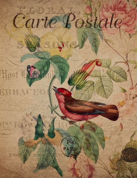 This postcard maker app has a secret vintage filter collection 27