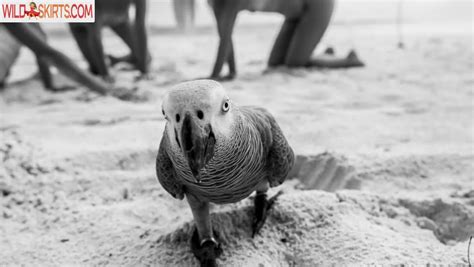 Diana Pogorelaya Anda P Di Pogo Diana Smiley Nude OnlyFans Instagram Leaked Photo 88