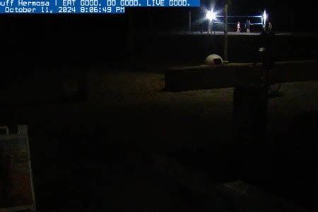 Big Bear Valley: Bald Eagles Live Webcam - San Bernardino, United