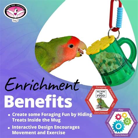 Super Bird Creations Mug Forager Bird Toy